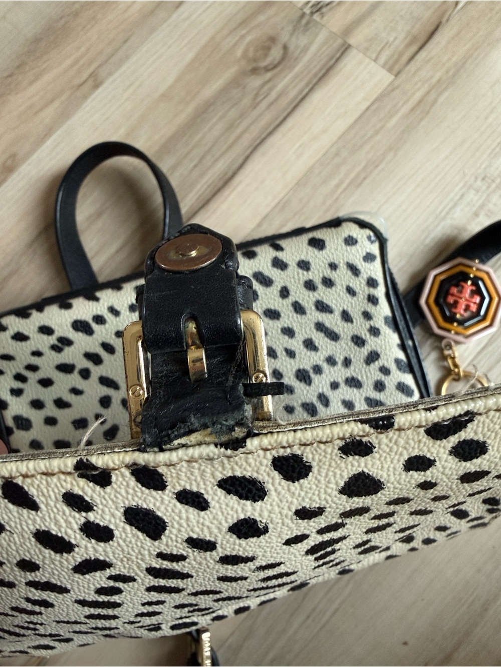 Tory Burch Black and White Spotted Leather Crossbody - Picture 9 of 10